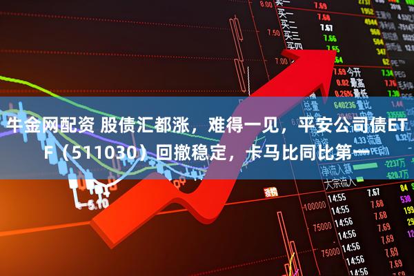 牛金网配资 股债汇都涨，难得一见，平安公司债ETF（511030）回撤稳定，卡马比同比第一