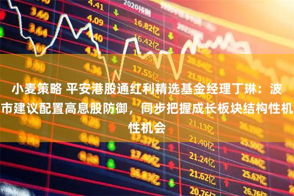 小麦策略 平安港股通红利精选基金经理丁琳：波动市建议配置高息股防御，同步把握成长板块结构性机会