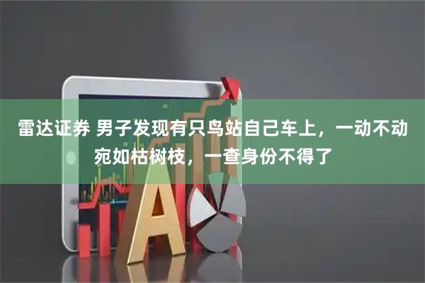 雷达证券 男子发现有只鸟站自己车上,一动不动宛如枯树枝,一查身份不得了