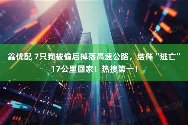 鑫优配 7只狗被偷后掉落高速公路，结伴“逃亡”17公里回家！热搜第一！
